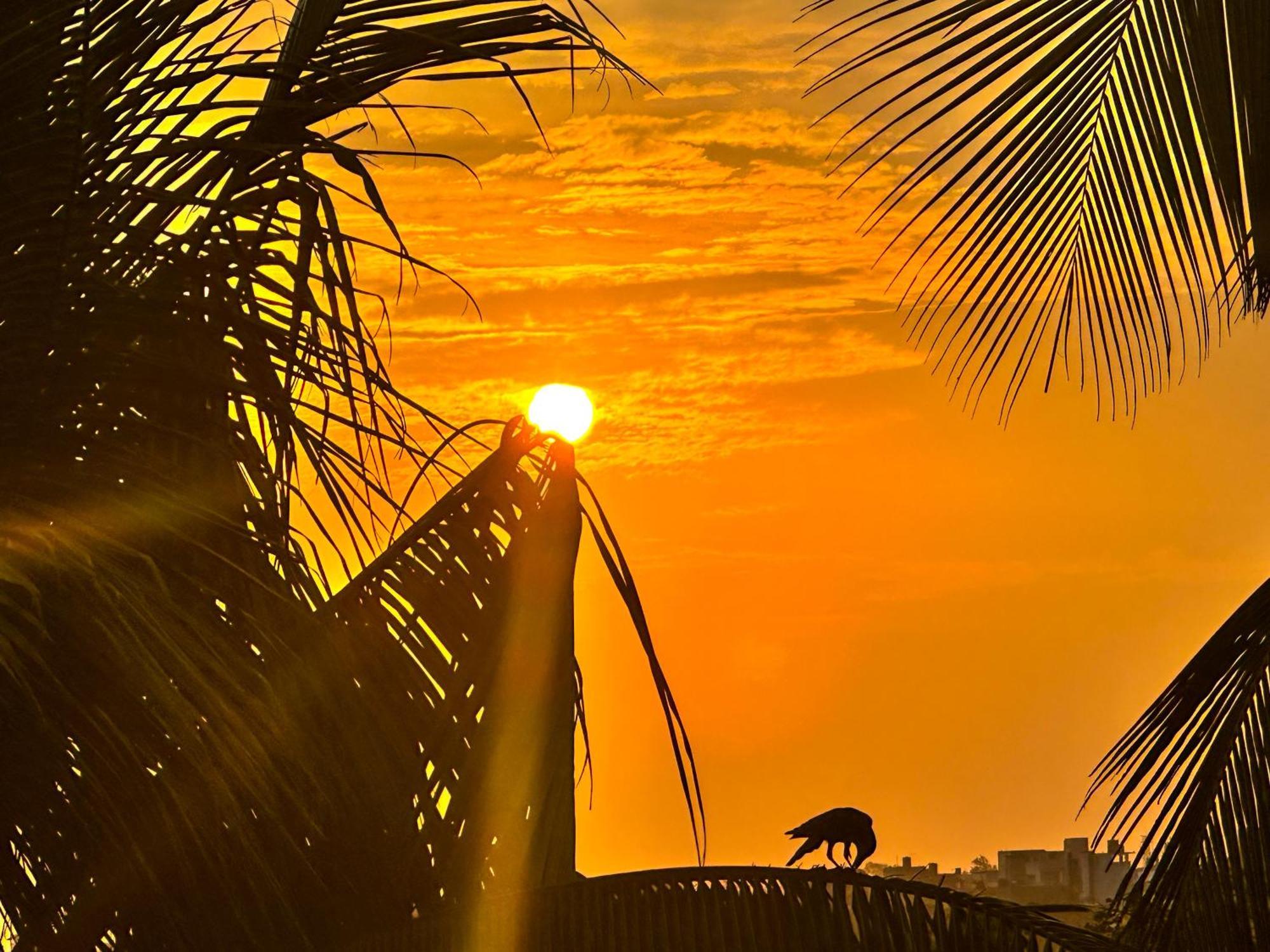 Hotel New Panda House Galle Exterior foto